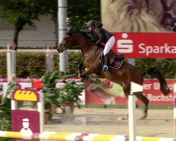 Reitturnier Schutterwald 2020