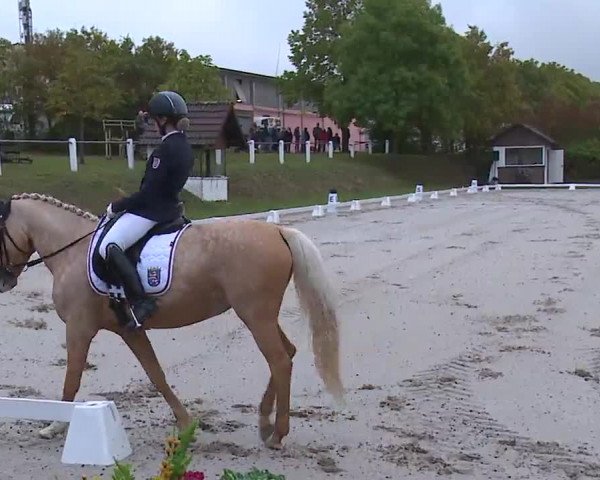 Reitturnier Remlingen/Ufr. 2020