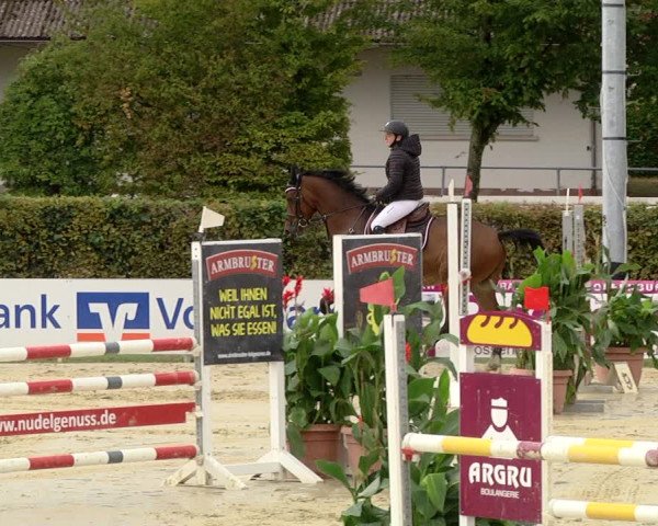 Reitturnier Schutterwald 2020