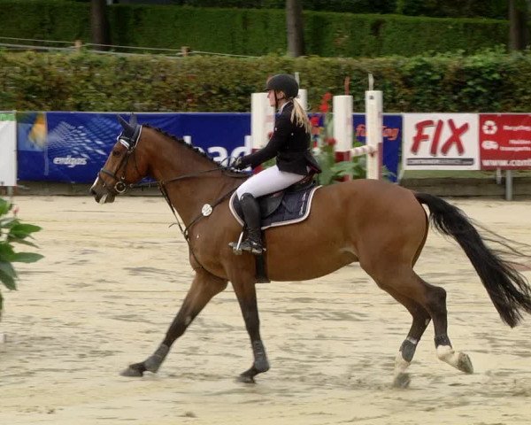 Reitturnier Schutterwald 2020