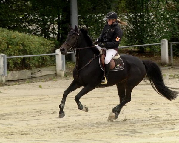 Reitturnier Schutterwald 2020