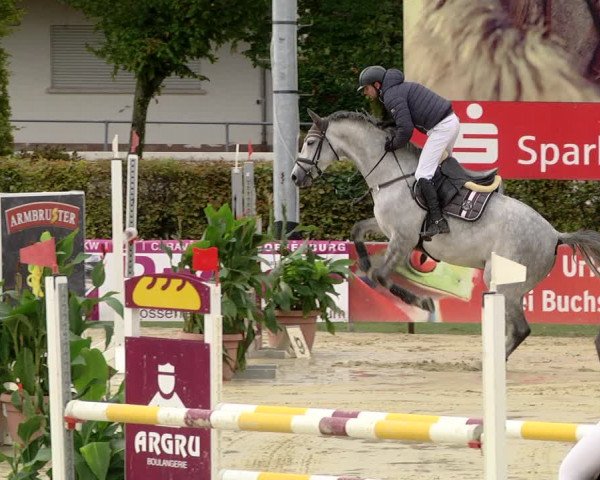 Reitturnier Schutterwald 2020