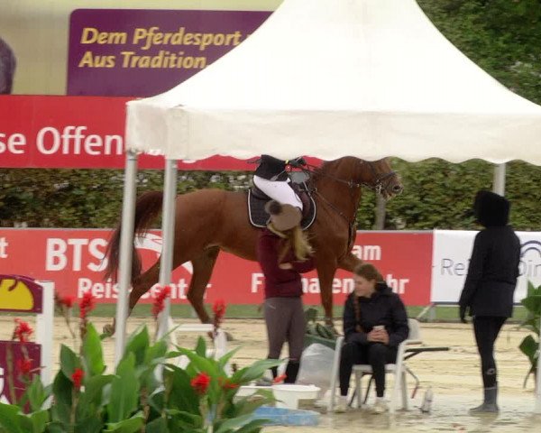 Reitturnier Schutterwald 2020