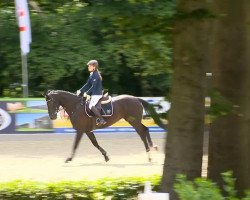 broodmare Dalla (Oldenburg, 2008, from Let's Talk About)