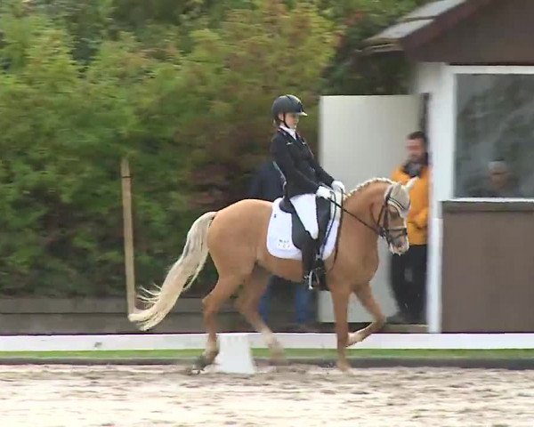 Reitturnier Remlingen/Ufr. 2020