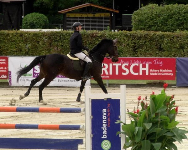 Reitturnier Schutterwald 2020
