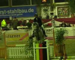 jumper El Contador RV (KWPN (Royal Dutch Sporthorse), 2009, from Contador)