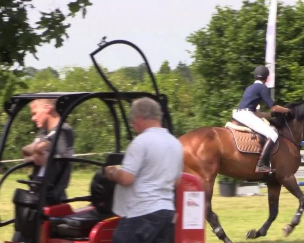 broodmare Coco Juana (Hanoverian, 2008, from Converter I)