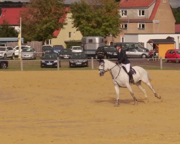 Reitturnier Dingelstädt 2020