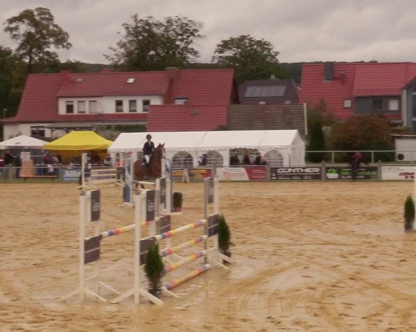 Reitturnier Dingelstädt 2020
