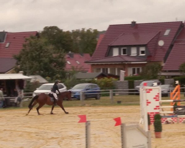 Reitturnier Dingelstädt 2020