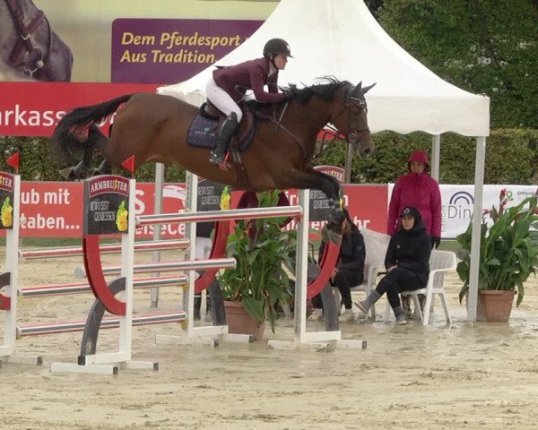 Reitturnier Schutterwald 2020