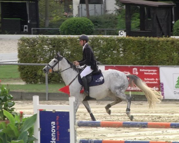 Reitturnier Schutterwald 2020