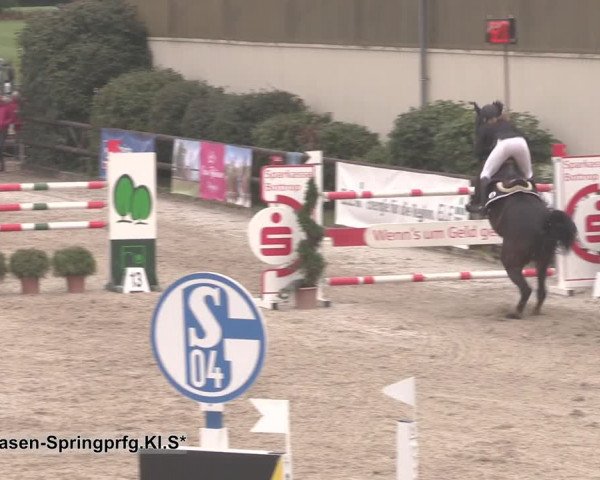 Reitturnier Kirchhellen/Stall Dieckmann 2020