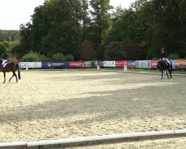 Reitturnier Hof Bettenrode 2020