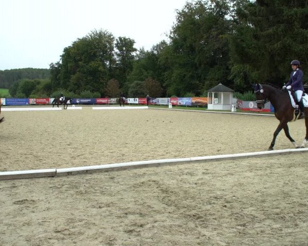 Reitturnier Hof Bettenrode 2020