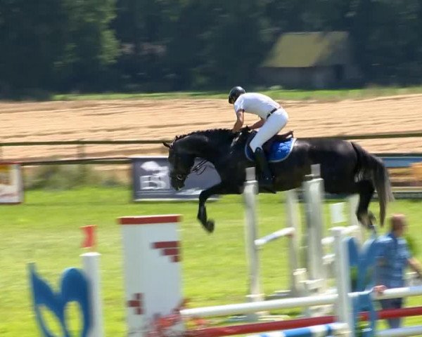 jumper Corny Free (Hanoverian, 2010, from Corlensky G)