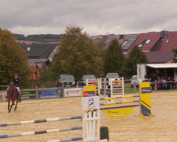 Reitturnier Dingelstädt 2020