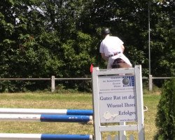Caballo de salto Stakkabo (Caballo de Salto Oldenburgués, 2008, de Stakkatol)