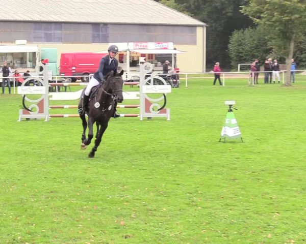 Reitturnier Kellinghusen 2020