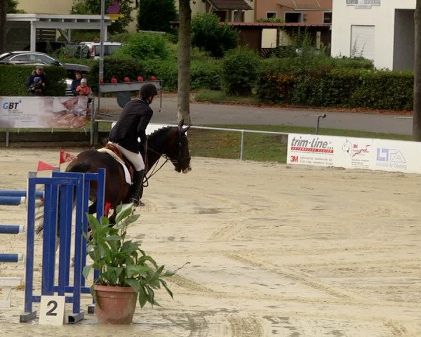 Reitturnier Schutterwald 2020