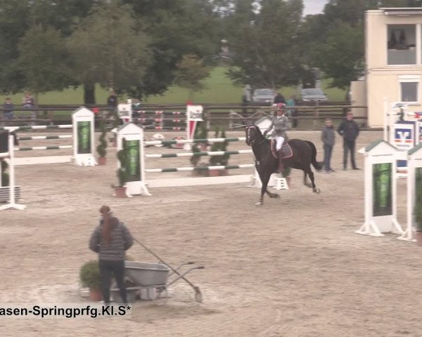 Reitturnier Kirchhellen/Stall Dieckmann 2020