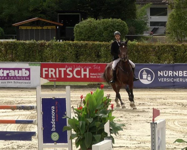 Reitturnier Schutterwald 2020