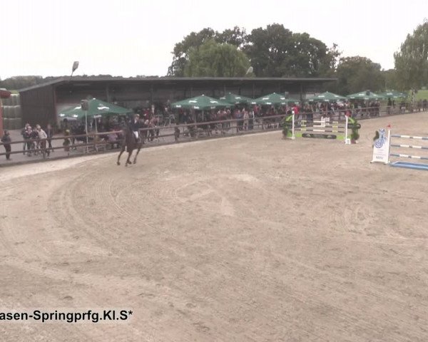 Reitturnier Kirchhellen/Stall Dieckmann 2020
