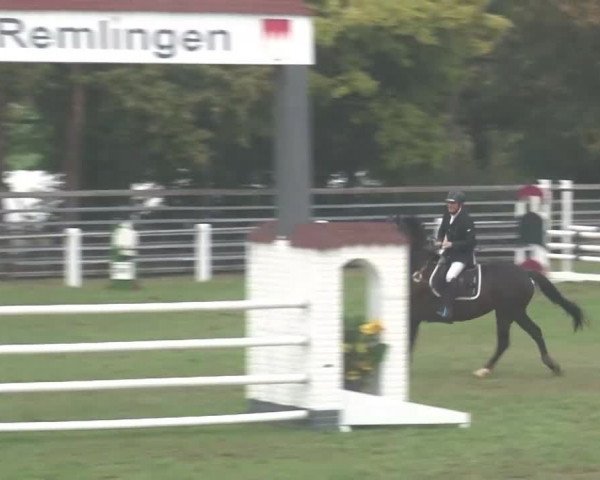 Reitturnier Remlingen/Ufr. 2020