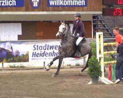 jumper Joy S (Württemberger, 2008, from Calido I)