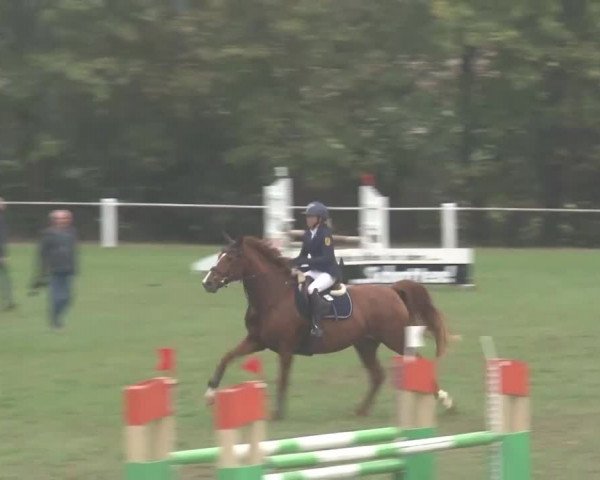 Reitturnier Remlingen/Ufr. 2020