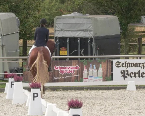 Reitturnier Achern 2020