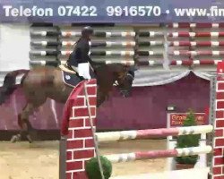 broodmare Perry (Hanoverian, 2009, from Perigueux)