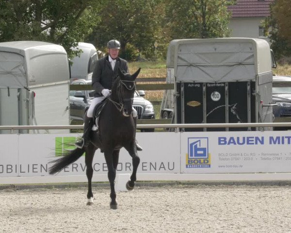 Reitturnier Achern 2020