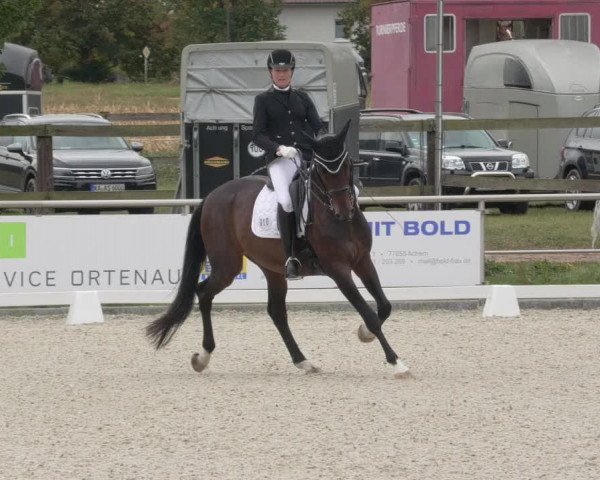 Reitturnier Achern 2020