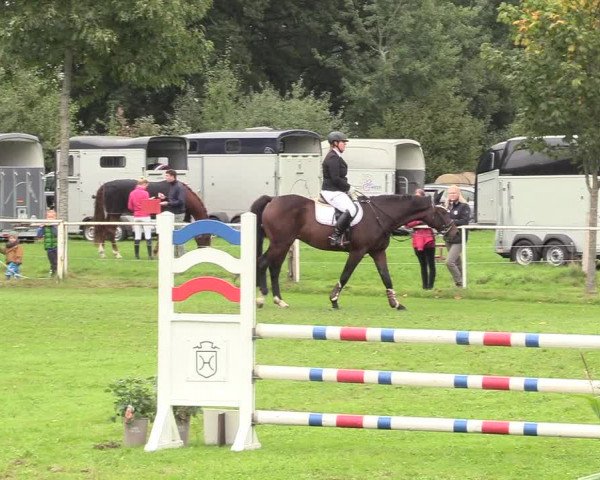 Reitturnier Kellinghusen 2020