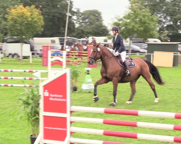 Reitturnier Kellinghusen 2020