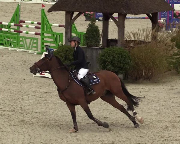 FEI Reitturnier Lier (BEL) 2020