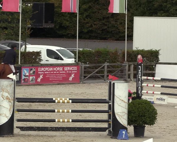 FEI Reitturnier Lier (BEL) 2020