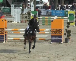 jumper Palim Palim 2 (Westphalian, 2010, from Perigueux)