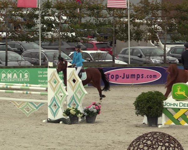 FEI Reitturnier Lier (BEL) 2020