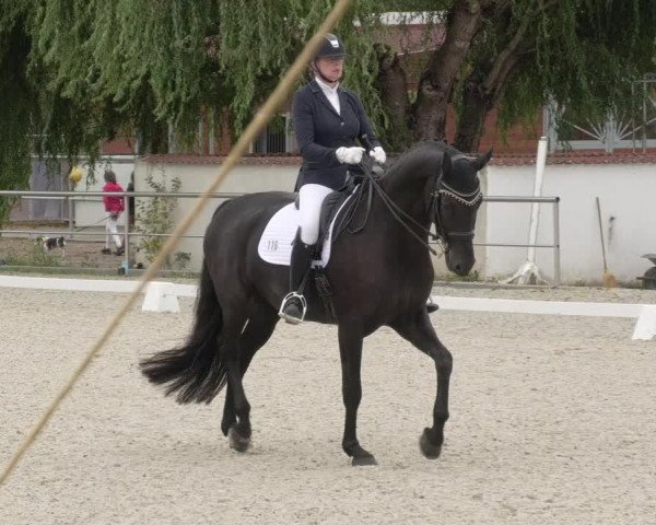 Reitturnier Achern 2020