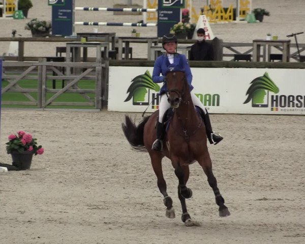FEI Reitturnier Lier (BEL) 2020