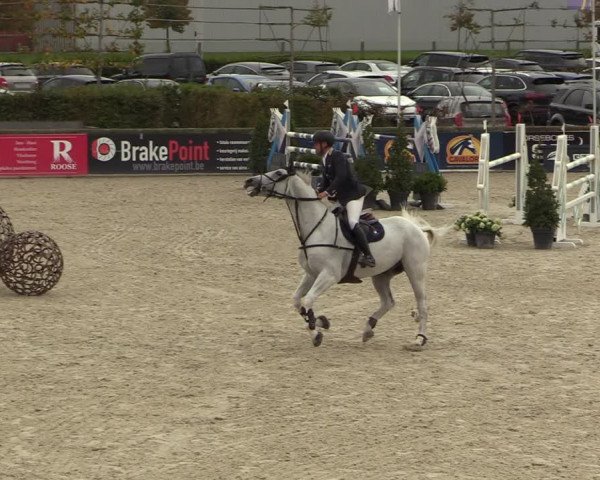 FEI Reitturnier Lier (BEL) 2020