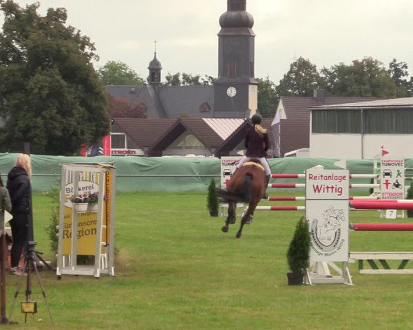 Reitturnier Altmittweida 2021