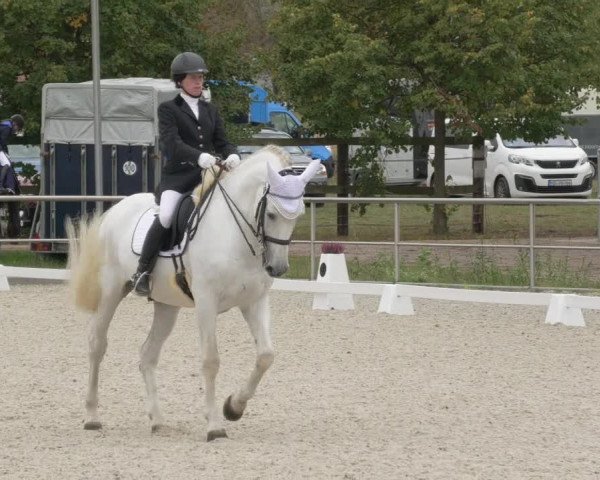 Reitturnier Achern 2020