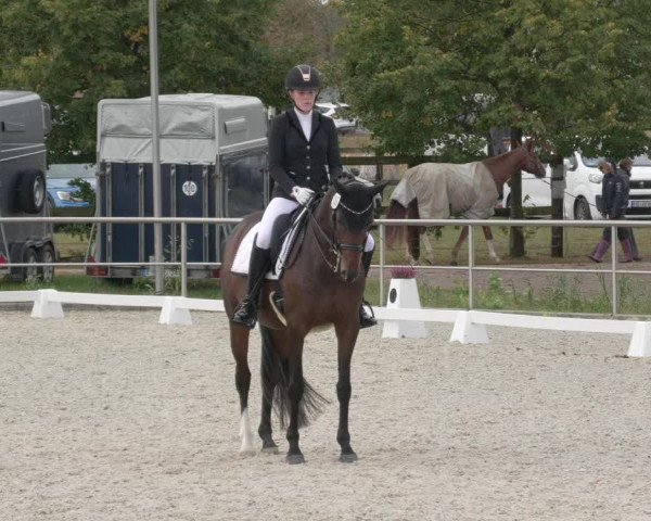 Reitturnier Achern 2020
