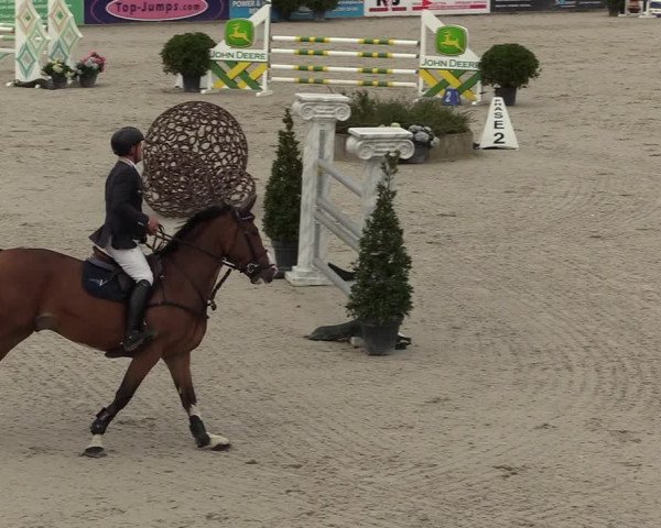 FEI Reitturnier Lier (BEL) 2020