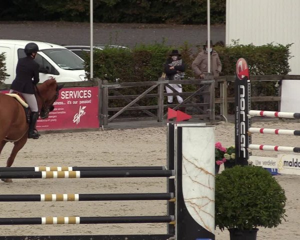 FEI Reitturnier Lier (BEL) 2020