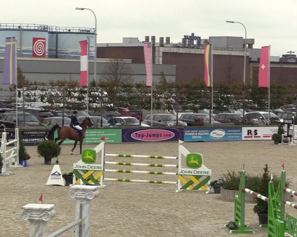 FEI Reitturnier Lier (BEL) 2020